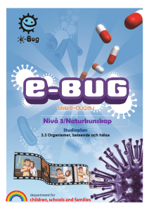 Nivå 3/Naturkunskap - e-Bug