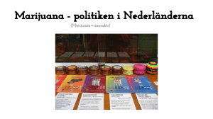 Marijuana - politiken i Nederländerna