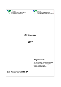 Strösocker 2007