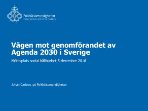 Vägen mot genomförandet av Agenda 2030 i Sverige