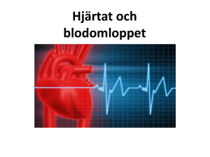 Hjärtat Blodomloppet