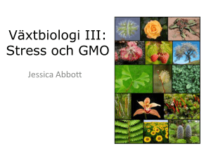 Växtbiologi III: Stress och GMO