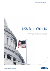 USA Blue Chip 14