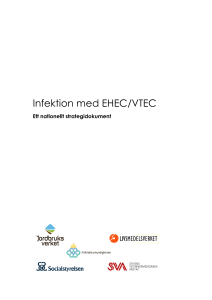 Infektion med EHEC/VTEC - Ett nationellt strategidokument