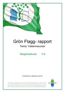 Grön Flagg