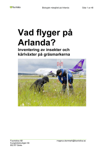 Vad flyger på Arlanda?