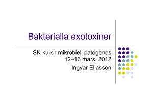 Bakteriella exotoxiner