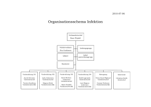 Organisationsschema Infektion