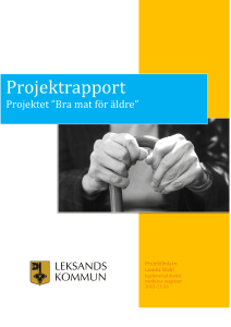 Projektrapport - Leksands kommun