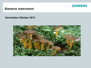 Clinitek Status, Siemens
