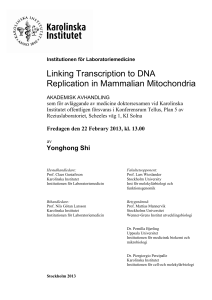 Linking Transcription to DNA Replication in Mammalian