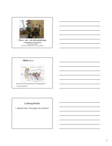 Öron-, Näs- och Halssjukdomar (pdf-handouts)