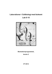 Laborationer i Cellbiologi med biokemi Lab 6-10
