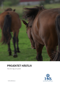 projektet hästliv - Hästnäringens Nationella Stiftelse
