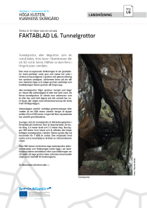 FAKTABLAD L6. Tunnelgrottor
