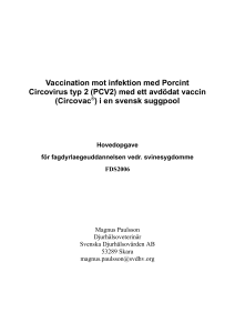 Vaccination mot infektion med Porcint Circovirus typ 2 (PCV2) med