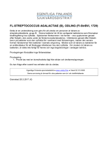 FL-STREPTOCOCCUS AGALACTIAE (B), ODLING - Hoito