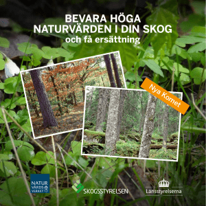 bevara höga naturvärden i din skog