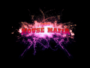 Därför valde jag Swedish House Mafia