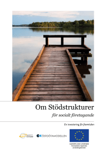 Om Stödstrukturer - Norrköpings kommun