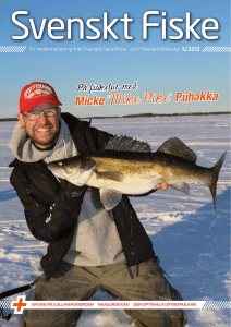 Micke ”Mike Pike” Puhakka - Logga in