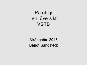 Patologi en översikt VSTB
