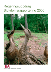 Sjukdomsrapportering 2006