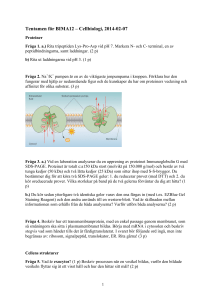 Tentamen för BIMA12 – Cellbiologi, 2014-02-07