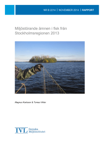 Miljöstörande ämnen i fisk från Stockholmsregionen 2013