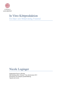 In Vitro Köttproduktion Nicole Loginger