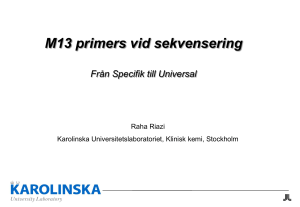 M13 primers vi sekvensering