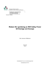 Risken för spridning av Rift Valley Fever till Sverige och Europa