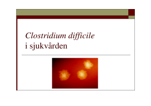 Clostridium difficile i sjukvården