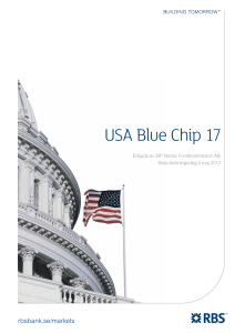 USA Blue Chip 17