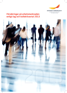Försäkringar på arbetsmarknaden enligt lag och kollektivavtal 2013