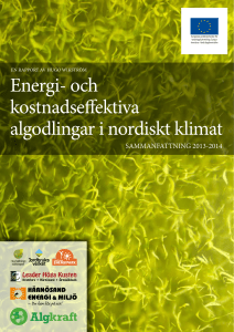 Energi- och kostnadseffektiva algodlingar i nordiskt klimat