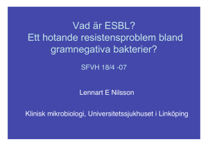 Lennart E Nilsson, presentation vid SFVHs studiedagar