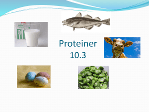 Proteiner - WordPress.com