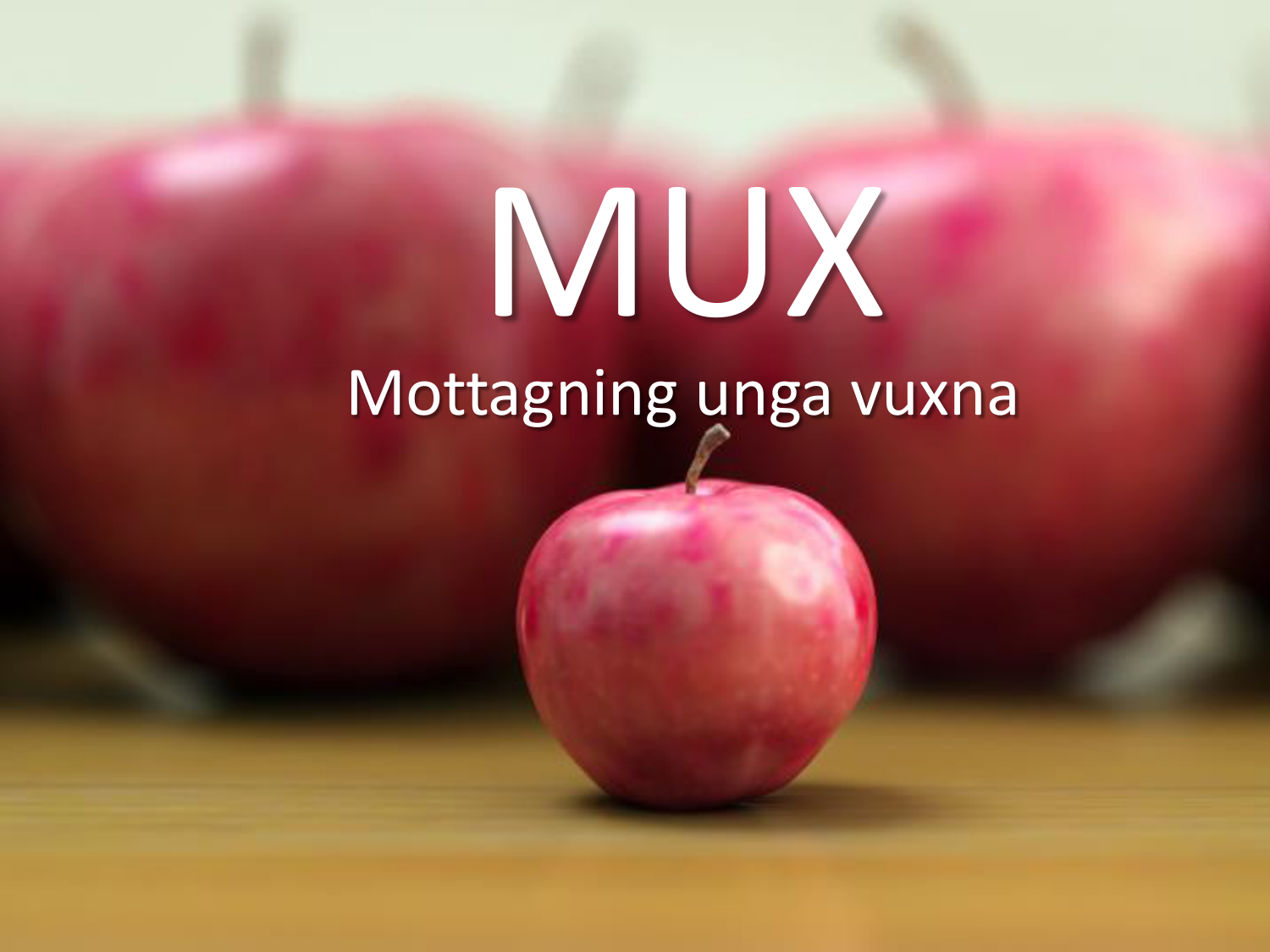 Mux Göteborg