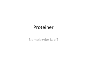 Proteiner - AGY Henrik Wilmar