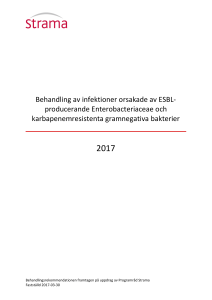 Behandling av infektioner orsakade av ESBL