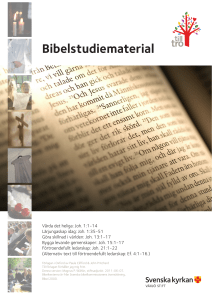 Bibelstudiematerial