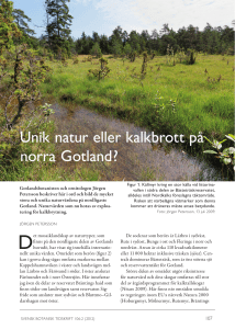 Unik natur eller kalkbrott på norra Gotland?