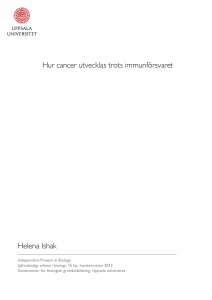 Hur cancer utvecklas trots immunförsvaret Helena Ishak