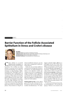 Barrier Function of the Follicle-Associated Epithelium in Stress and