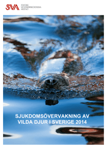 Sjukdomsövervakning av vilda djur i Sverige 2014