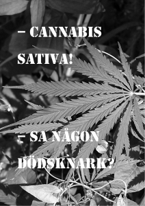 cannabis sativa!