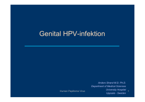 Genital HPV-infektion