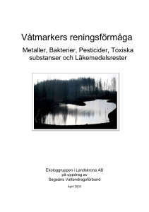 Våtmarkers reningsförmåga - Segeåns Vattendragsförbund och