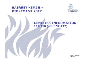 BASÅRET KEMI B – BIOKEMI VT 2012 GENETISK INFORMATION